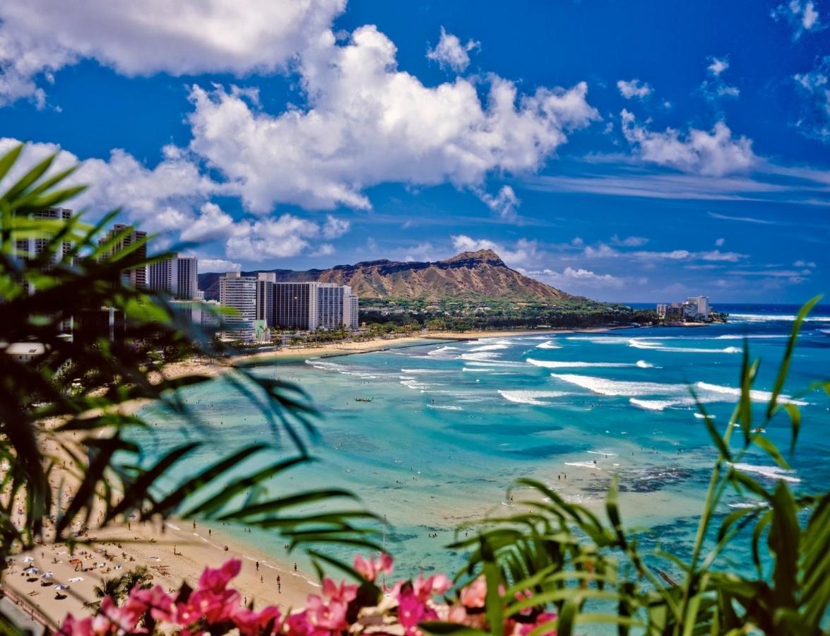 Diamond Head Views Retreat With Free Parking & Near Waikiki Beach! Honolulu Exteriör bild