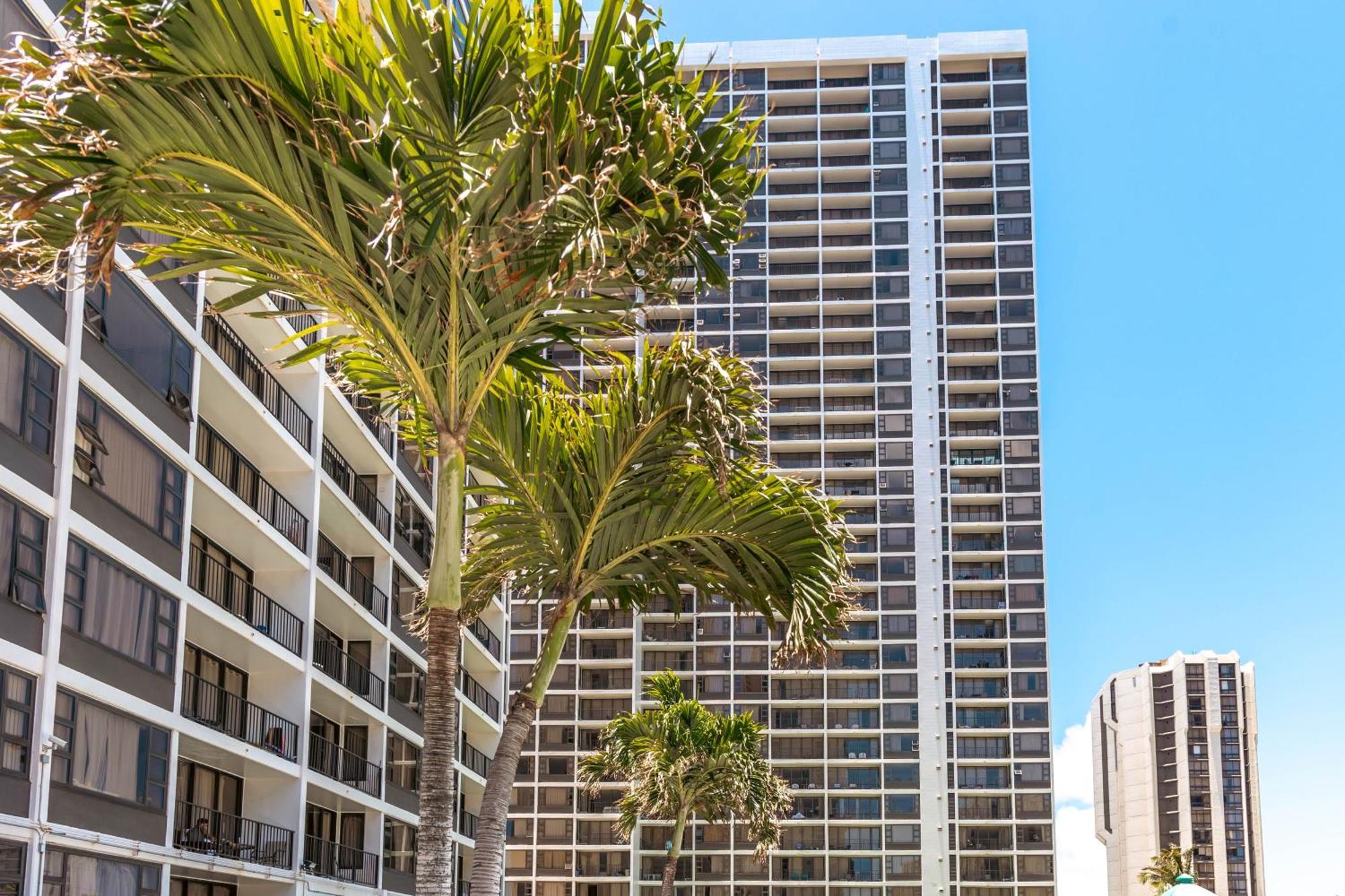 Diamond Head Views Retreat With Free Parking & Near Waikiki Beach! Honolulu Exteriör bild