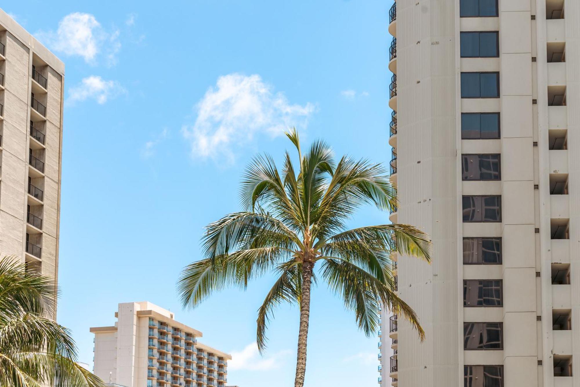 Diamond Head Views Retreat With Free Parking & Near Waikiki Beach! Honolulu Exteriör bild